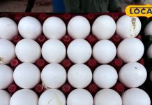 एक दिन में कितने अंडे खाना सेहत के लिए है फायदेमंद? जानें एक्सपर्ट से