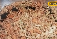 Test – Bharat.one हिंदी