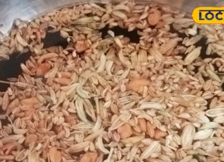 Test – Bharat.one हिंदी