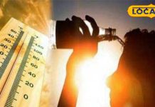 गर्मी में लू से बचना चाहते हैं तो अपनाएं ये टिप्स, नहीं तो पड़ जाएंगे बीमार, जानिए एक्सपर्ट से राय