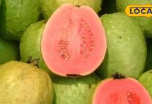 विटामिन का भंडार है यह फल, इन बीमारियों का करता है नाश, पुत्र प्राप्ति के लिए भगवान को किया जाता है अर्पित