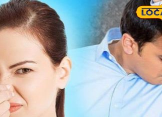 गर्मी में आपके शरीर से आती है दुर्गंध? परफ्यूम की जगह..नहाते समय पानी में डाल लें ये पत्ता, बदबू को कर देगा दूर