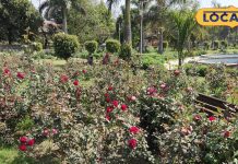 दिल्ली का रोज गार्डन: गर्मी में प्रकृति का आनंद लें.