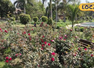 दिल्ली का रोज गार्डन: गर्मी में प्रकृति का आनंद लें.