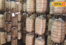 राजनांदगांव की महिलाएं मशरूम पाउडर से कमा रही हैं अच्छी इनकम.