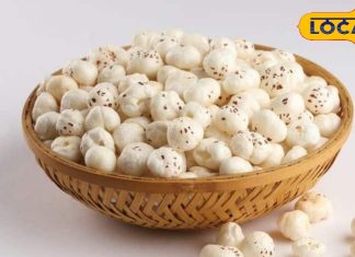 एज रिवर्स करनी है तो डाइट में शामिल करें ये सुपरफूड! हड्डियों की बीमारी और डायबिटीज भी रहेगी कोसों दूर!