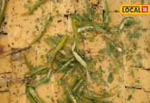 Famous Dhokla in UP: तेल-मसालों के बिना बनता है ये स्नैक्स, स्वाद में समोसे से भी बेहतर! 42 साल से चल रही दुकान- लोग दीवाने