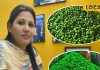 पोषक तत्वों से भरपूर है हरा चना, इन बीमरियों के लिए है रामबाण दवा, डायटिशियन से जानें सेवन के फायदे