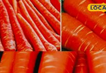 घर आए लोगों को खिलाएं गाजर से बनी ये डिश; स्वाद में लजीज, रेसिपी बिल्कुल आसान!