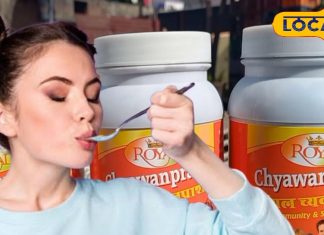 प्रोटीन और विटामिन का पॉवरहाउस है ये देसी च्यवनप्राश, अब गर्मी में भी मजबूत रहेगी आपकी इम्यूनिटी!