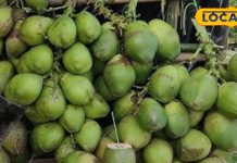 45 डिग्री टेंपरेचर में बॉडी रखे कूल, ट्राई करें ये खास पानी, डिहाइड्रेशन से बचाने में रामबाण