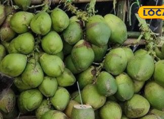 45 डिग्री टेंपरेचर में बॉडी रखे कूल, ट्राई करें ये खास पानी, डिहाइड्रेशन से बचाने में रामबाण