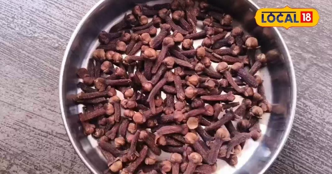 चाहे सर्दी-जुकाम हो या पेट की समस्याएं…बस एक चुटकी कर लें इस घरेलू दवा का सेवन, मिल जाएगा आराम