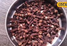 चाहे सर्दी-जुकाम हो या पेट की समस्याएं…बस एक चुटकी कर लें इस घरेलू दवा का सेवन, मिल जाएगा आराम