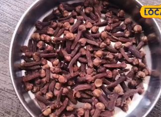 चाहे सर्दी-जुकाम हो या पेट की समस्याएं…बस एक चुटकी कर लें इस घरेलू दवा का सेवन, मिल जाएगा आराम