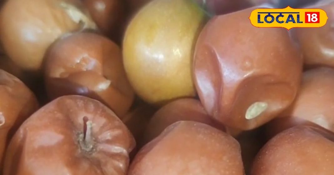 2 महीने बचे..खा लें ये फल, श्रीराम-महादेव का प्रिय, पेट के लिए अमृत, साल भर इंफेक्शन से बचेंगे!