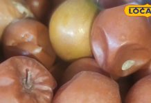 2 महीने बचे..खा लें ये फल, श्रीराम-महादेव का प्रिय, पेट के लिए अमृत, साल भर इंफेक्शन से बचेंगे!