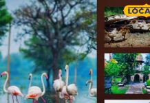 केवलादेव नेशनल पार्क में लीजिए प्रकृति का बेहतरीन नजारा, अजगर सहित जंगली जानवरों का अद्भुत संगम – Bharat.one हिंदी