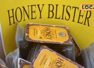 Honey Benefits: कई बीमारियों का रामबाण इलाज, महज ₹10 मिलेगा शुद्ध शहद, कई साल नहीं होगा खराब