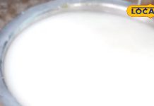 चावल को 2 दिन सड़ाकर, फिर जंगली जड़ीबूटी मिलाकर, होली पर आदिवासी बनाते हैं बियर, पीने के बाद तो..