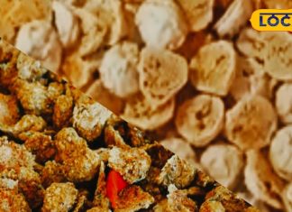 होली पर बनाएं ये खास नमकीन डिश, मेहमान भी खाकर हो जाएंगे खुश – Bharat.one हिंदी