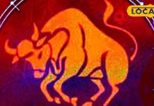 Vrishabh Rashi: करियर में आएगी ऑफत, लव लाइफ रहेगी रोमांटिक, जानें वृषभ राशि वालों का आज कैसा रहेगा दिन