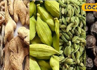दवाइयों का पिटारा हैं किचन में रखें ये 5 मसाले, शरीर की चर्बी कर देंगे बाहर