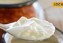 рджрд╣реА рдЦрд╛рдиреЗ рдХрд╛ рд╕рд╣реА рд╕рдордп рдХреНрдпрд╛ рд╣реИ? рдпреЗ 3 рдмрд╛рддреЗрдВ рдЬрд╛рдирдХрд░ рдмрдЪрд╛ рд╕рдХрддреЗ рд╣реИрдВ рдЕрдкрдиреА рд╕реЗрд╣рдд! рдЬрд╛рдиреЗрдВ рдПрдХреНрд╕рдкрд░реНрдЯ рдХреА рд░рд╛рдп