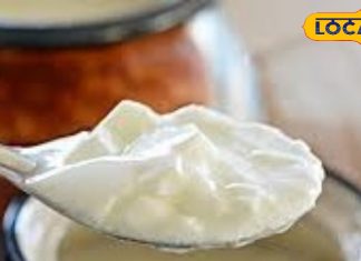 दही खाने का सही समय क्या है? ये 3 बातें जानकर बचा सकते हैं अपनी सेहत! जानें एक्सपर्ट की राय