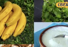 पाचन तंत्र कर रहा है परेशान तो डाइट में शामिल करें ये सुपरफूड्स, इससे दिन भर बने रहेंगे एनर्जेटिक