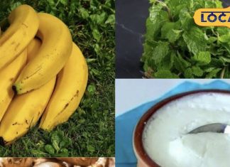 पाचन तंत्र कर रहा है परेशान तो डाइट में शामिल करें ये सुपरफूड्स, इससे दिन भर बने रहेंगे एनर्जेटिक