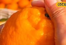 संतरे के छिलके और बीज फेंककर कर रहे हैं गलती! त्वचा के लिए संजीवनी, जानिए फायदे