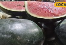 तरबूज खाने के ऐसे लाभ जो आप जानते नहीं होंगे, लेकिन फिर भी इन लोगों के लिए है घातक!