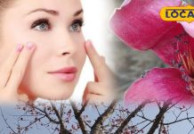 गर्मी में भी गुलाबी दिखेंगे! सड़क किनारे उगने वाले इस पेड़ में सुंदरता का राज, कील-मुंहासे का पर्मानेंट इलाज