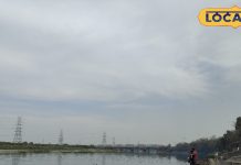 दिल्ली के यमुना घाट पर विदेशी पक्षियों का अद्भुत नजारा.