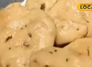 घर में बनाएं ताजगी से भरी मठरी, चाय के साथ उठाएं लुत्फ, एक्सपर्ट से जानें विधि – Bharat.one हिंदी