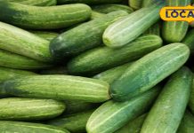 गर्मियों में डिहाइड्रेशन का सता रहा है डर, डाइट में शामिल कर लें ये सब्जी, त्वचा भी सर्नबर्न से रहेंगे सुरक्षित