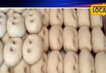 शुद्धता की गारंटी है ये पेड़ा! दुबई, कतर और कुवैत तक मांग, तीन पीढ़ियों से स्वाद बरकरार