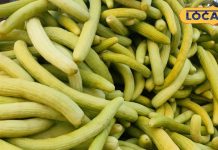 पानी का टैंकर हैं गर्मी के ये 7 फल! विटामिन का भंडार, खाते ही तुरंत एनर्जी