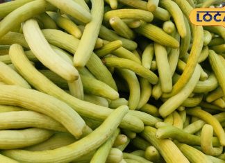 पानी का टैंकर हैं गर्मी के ये 7 फल! विटामिन का भंडार, खाते ही तुरंत एनर्जी