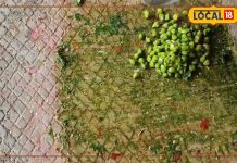 Make delicious radish chutney at home like this, you will be surprised to know its benefits, know its recipe