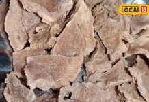 मछली से भी तगड़ा है छत्तीसगढ़ का ये सुपरफूड, कूट-कूट के भरा है फाइबर, प्रोटीन, विटामिन! नॉनवेज का आता है स्वाद