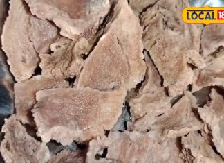 मछली से भी तगड़ा है छत्तीसगढ़ का ये सुपरफूड, कूट-कूट के भरा है फाइबर, प्रोटीन, विटामिन! नॉनवेज का आता है स्वाद