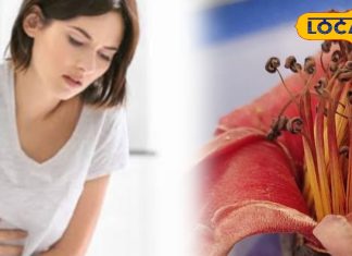 फरवरी से अप्रैल तक मिलने वाला ये फूल, महिला-पुरुष के इस गंभीर रोग का काल, जड़ से खत्म होगी दिक्कत!