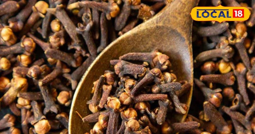 Laung Ke Fayde: रात में दो लौंग का सेवन आपके लिए है वरदान… मोटापा, नींद की कमी, एसिडिटी को कर देगी दूर