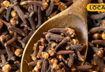 Laung Ke Fayde: रात में दो लौंग का सेवन आपके लिए है वरदान… मोटापा, नींद की कमी, एसिडिटी को कर देगी दूर