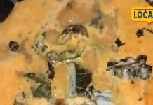 स्वाद से है भरपूर, शरीर में भर जाएगी ताकत! ये छत्तीसगढ़ी इडहल सब्जी है सेहत का खजाना, जानें इसकी रेसिपी