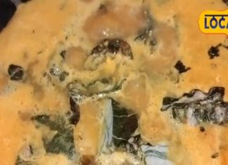 स्वाद से है भरपूर, शरीर में भर जाएगी ताकत! ये छत्तीसगढ़ी इडहल सब्जी है सेहत का खजाना, जानें इसकी रेसिपी