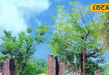 गर्मियों के दिन में बिलासपुर के लोगों के लिए संजीवनी है ‘बिलासा ताल गार्डन’, जानिए कहां है लोकेशन, ऐसे गुजार सकते हैं मजे से दिन – Bharat.one हिंदी