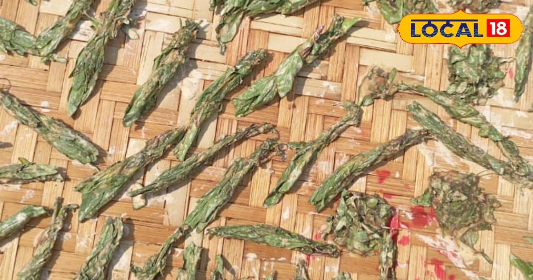 Biria can be made from these sago can take unseasonal taste of sago